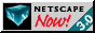 Netscape Logo